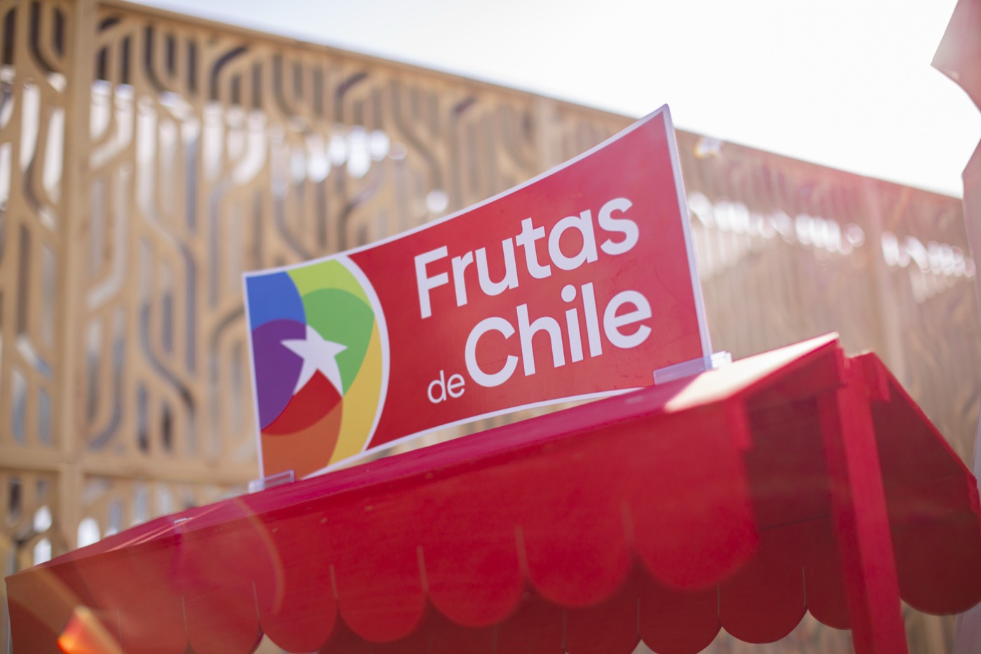 Frutas de Chile 6